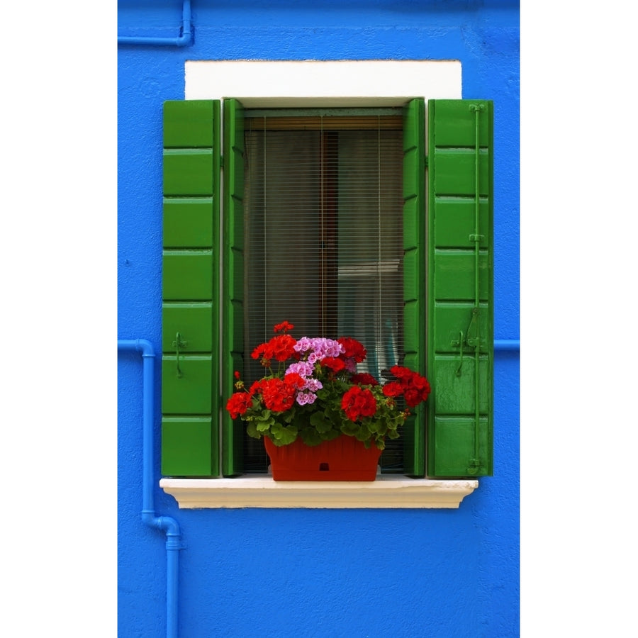 Vibrant blue building with window and green shutters with blossoming plant on the ledge; Burano Venice Italy by Carson Image 1