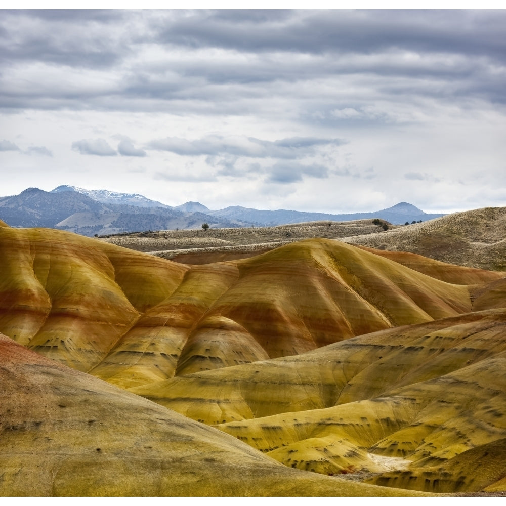 Painted Hills John Day Fossil Beds National Monument; Oregon United States of America Poster Print by The Nature Image 1