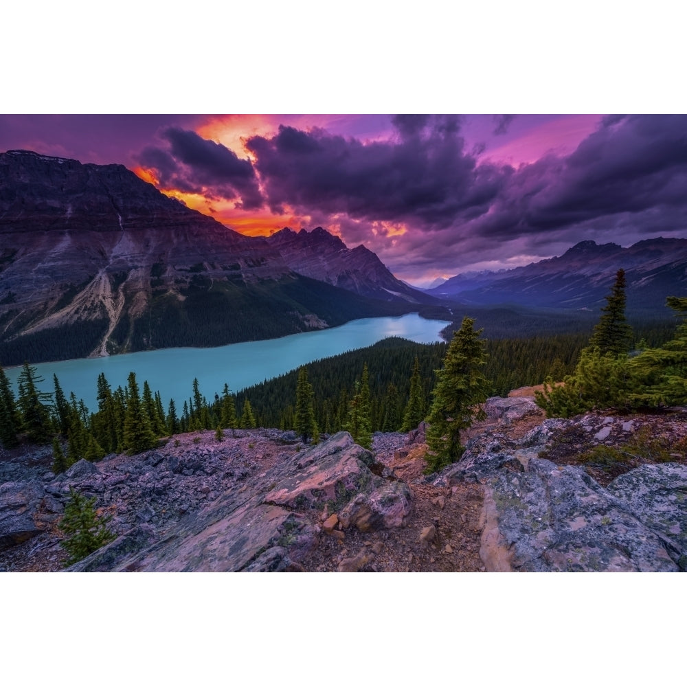 Peyto Lake under dramatic skies Banff National Park; Alberta Canada Poster Print by Justin Sinclair 12574975 Image 1