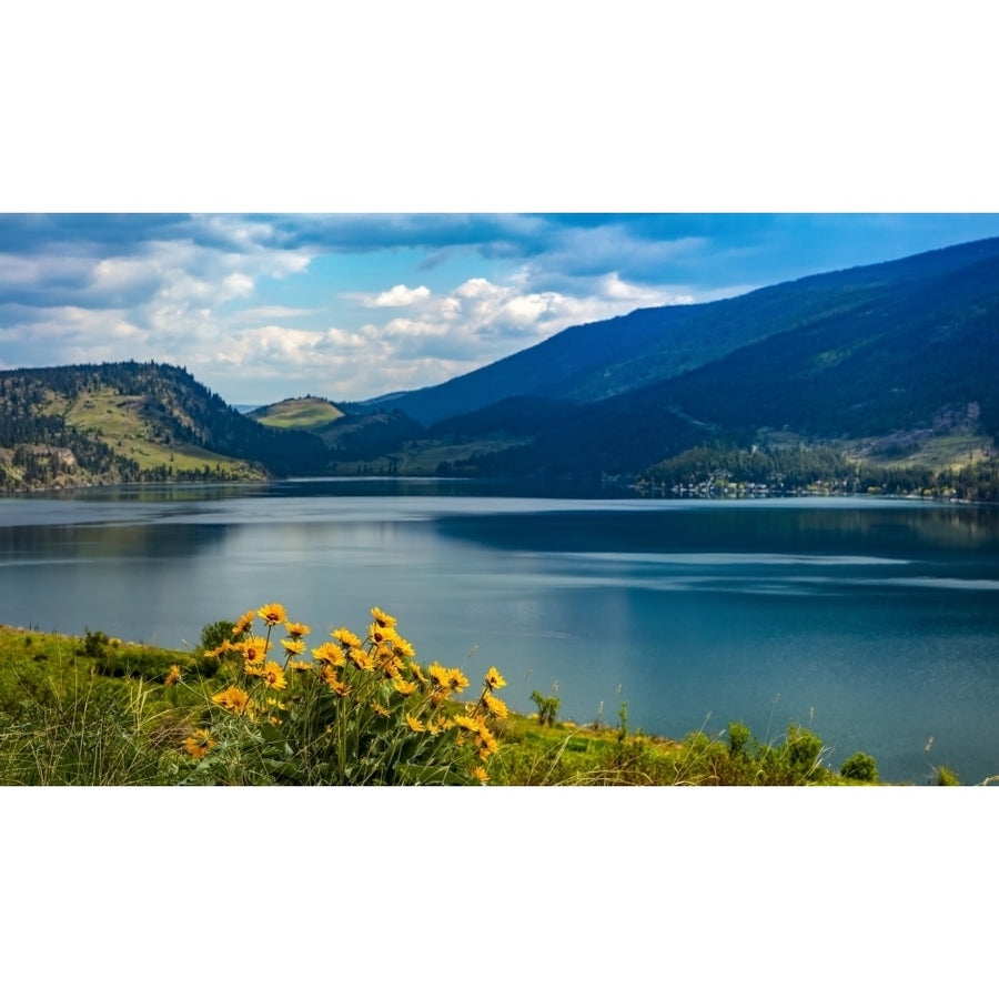 Wildflowers and Lake Kalamalka in the Okanagan Valley; British Columbia Canada Poster Print by The Nature Collection Image 1