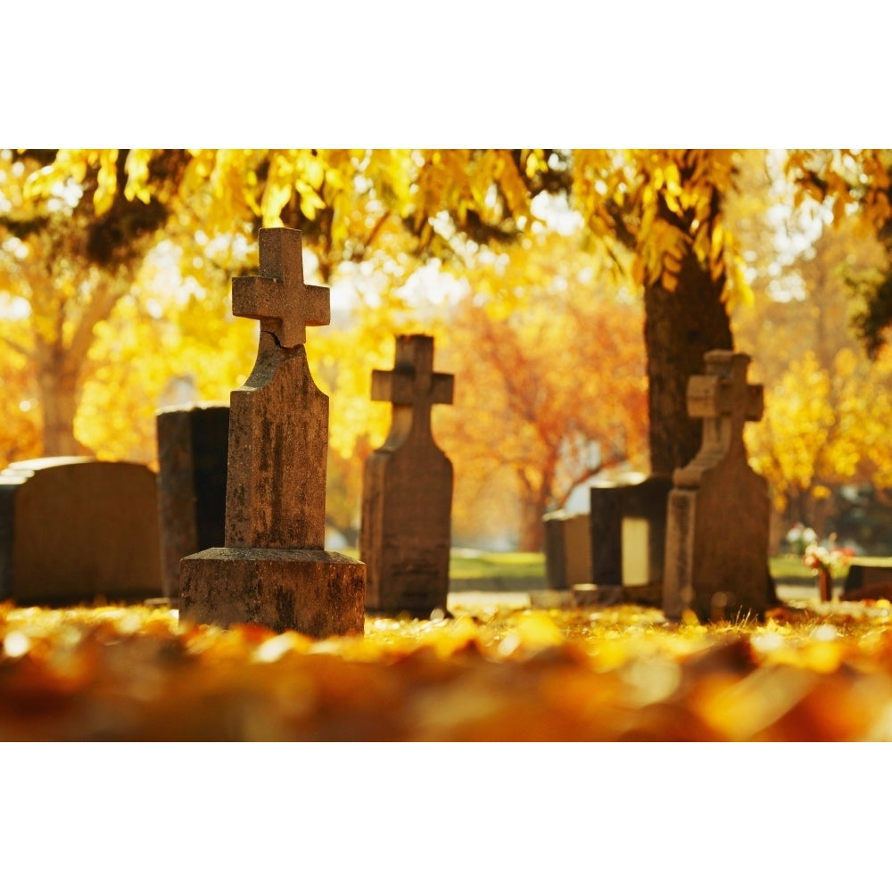 A Graveyard Poster Print Image 2