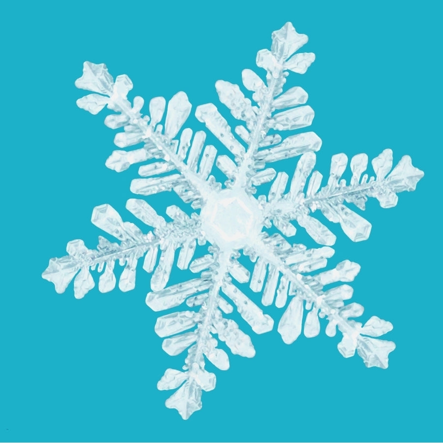 Snowflake Poster Print Image 1