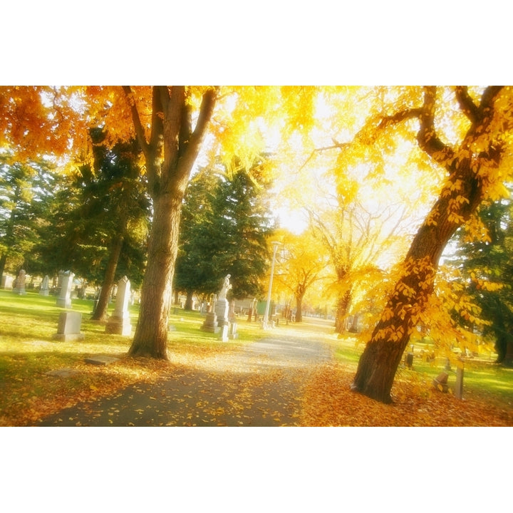 A Sidewalk Through Fall Trees Poster Print Image 1