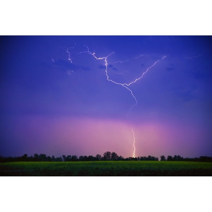 A Lightning Storm Poster Print Image 1