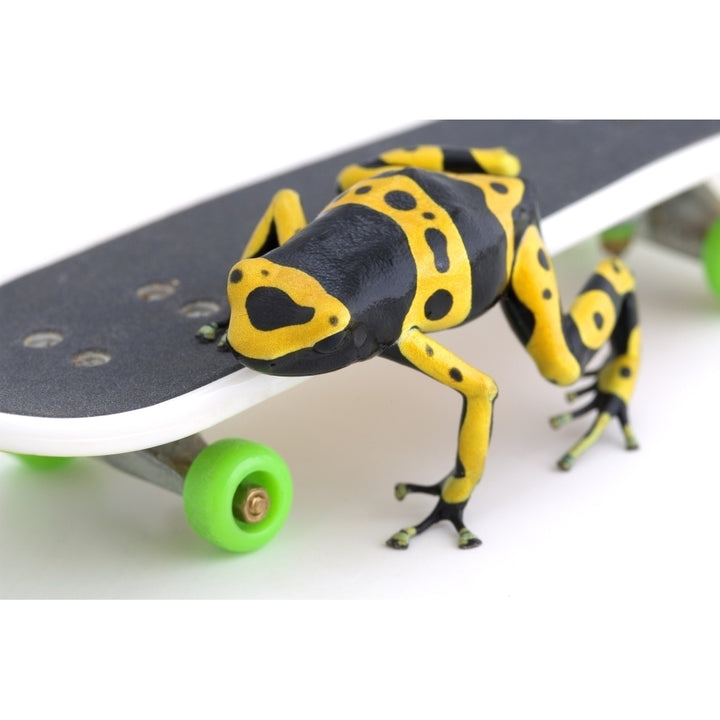 Frog On A Skateboard Poster Print Image 2