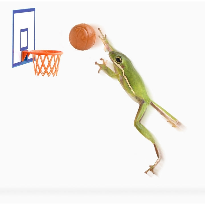 Frog Playing Basketball Poster Print Image 1