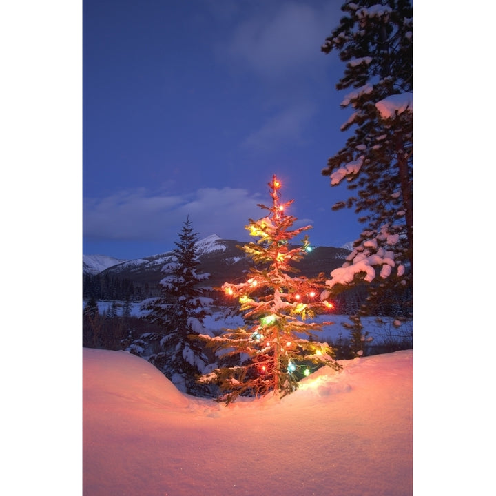 Christmas Tree Outdoors At Night Poster Print Image 1