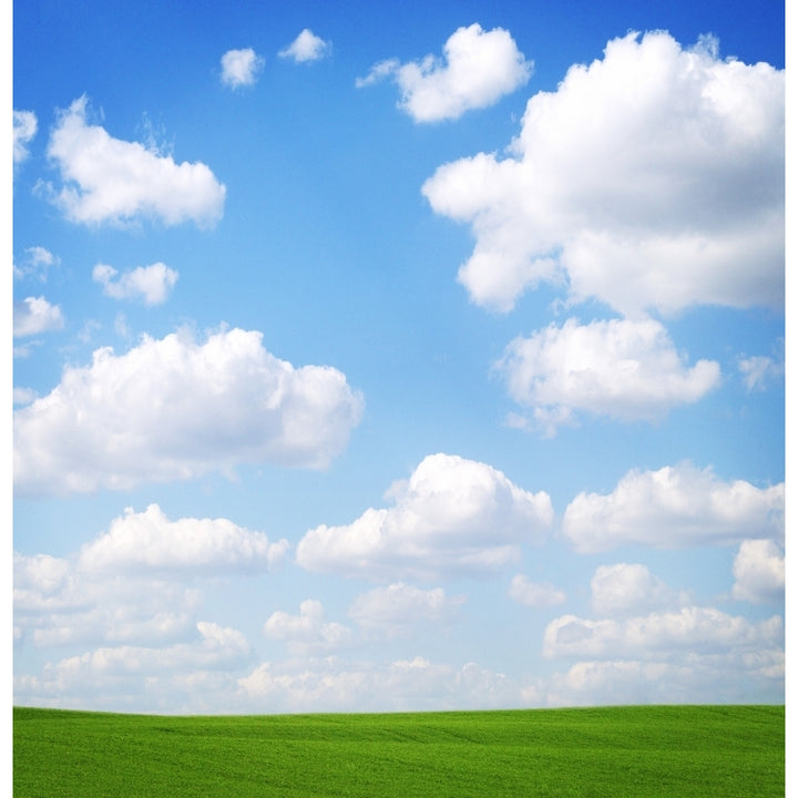 Clouds In The Sky Poster Print Image 1