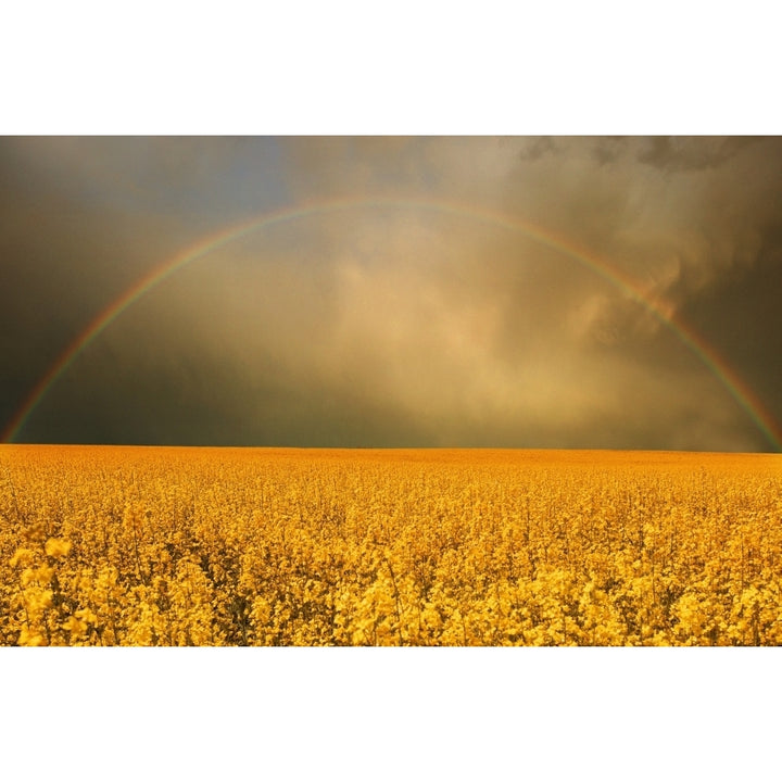 Rainbow Over Farmers Field Poster Print Image 1