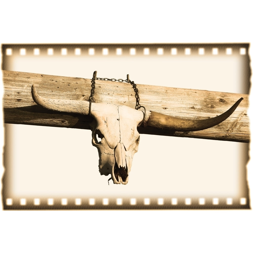 Longhorn Cow Skull Poster Print Image 2