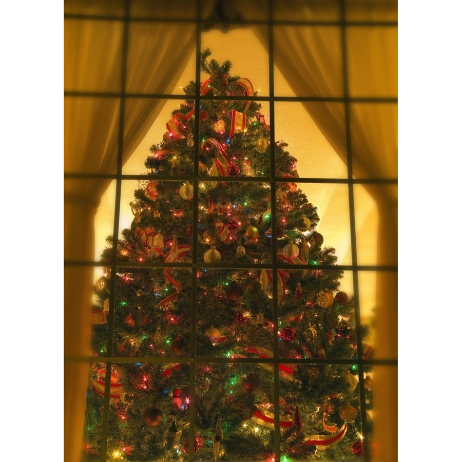 Looking At Indoor Christmas Tree Through Window Poster Print Image 1