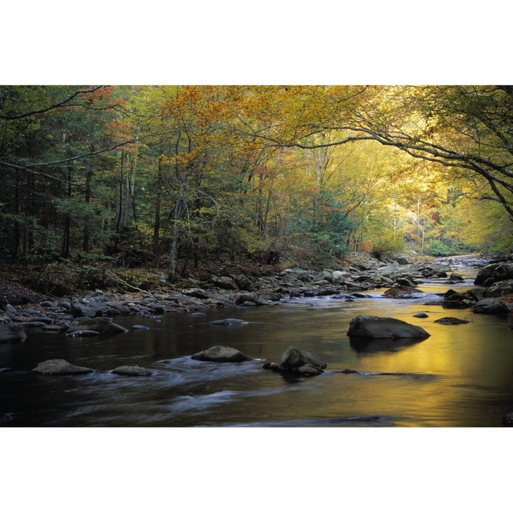 River Flowing Over Rocks Greenbrier Area Great Smoky Mountains National Park Tennessee Usa Poster Print Image 2