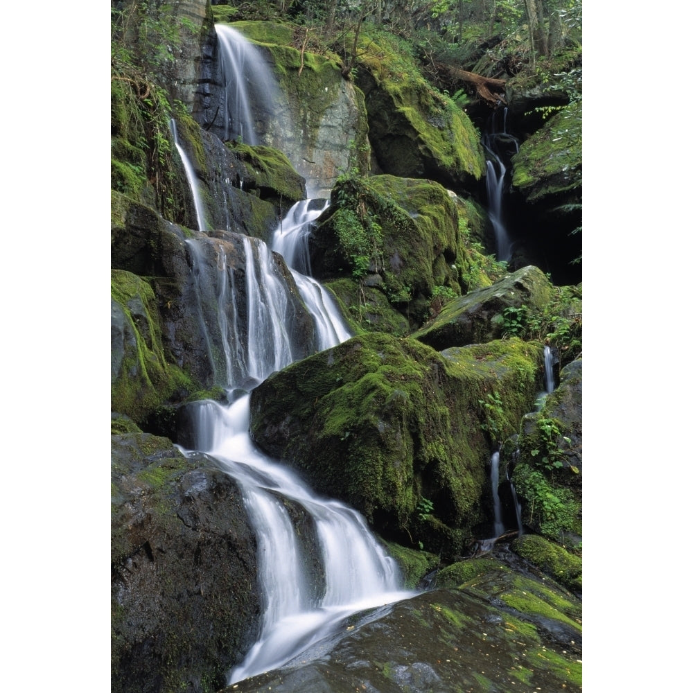 Thousand Drips Waterfall Roaring Fork Area Great Smoky Mountains National Park Tennessee Usa Poster Print Image 2