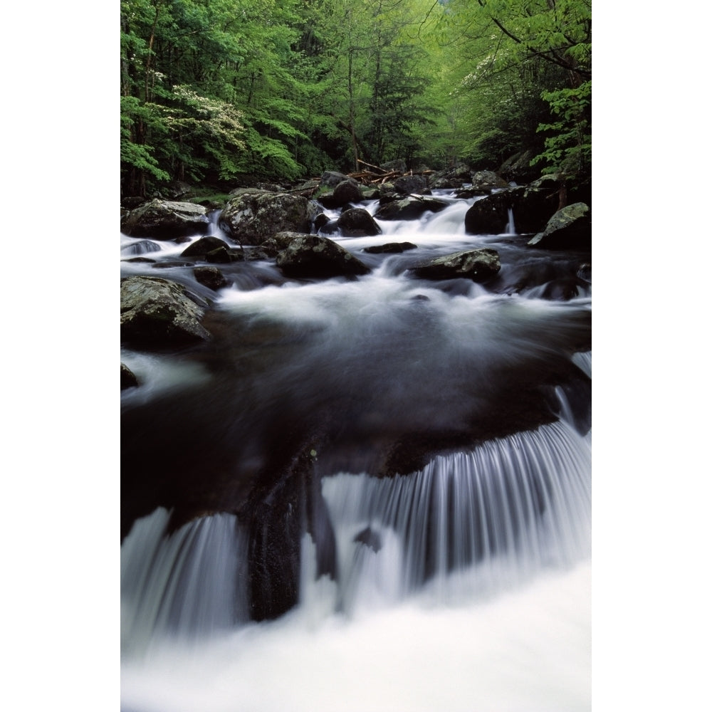 Scenic Creek Tennessee Usa Poster Print Image 2