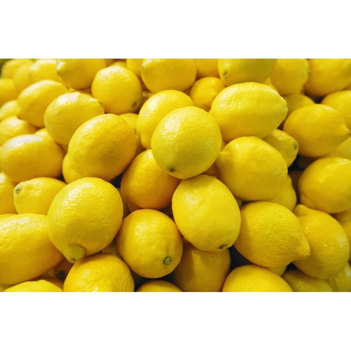 Bunch Of Lemons Poster Print Image 1