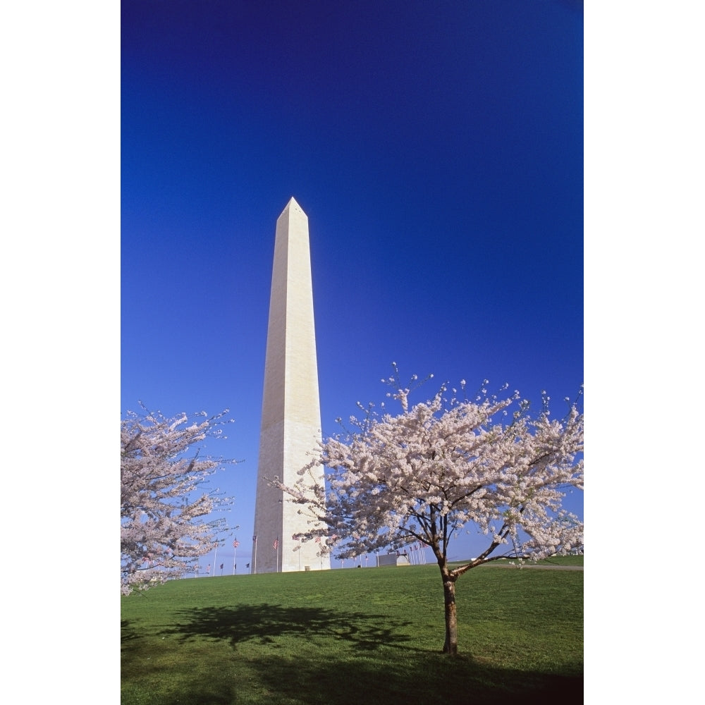 Washington Monument Poster Print Image 1