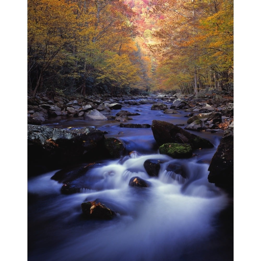 Little River Cascades And Autumn Colors Great Smoky Mountains National Park Poster Print Image 1