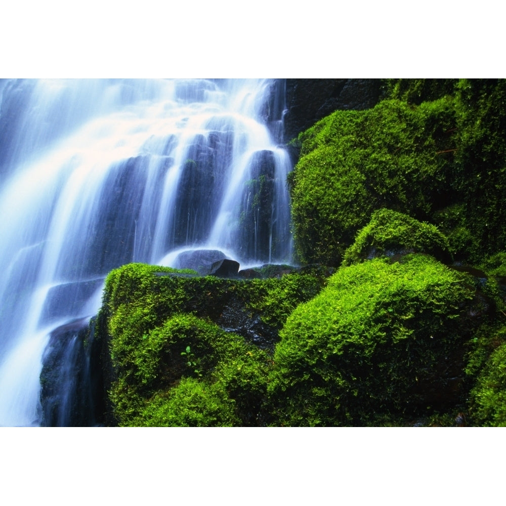 Waterfall On Wahkeena Creek Columbia River Gorge Poster Print Image 1