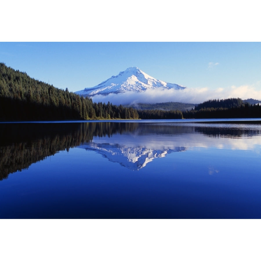 Trillium Lake With Reflection Of Mount Hood Mount Hood National Forest Poster Print Image 1