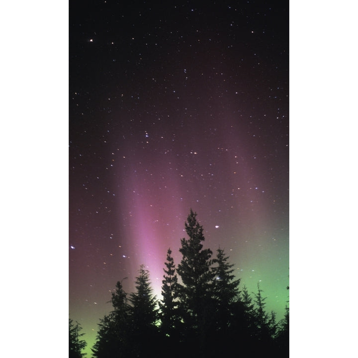 Northern Lights Poster Print Image 1