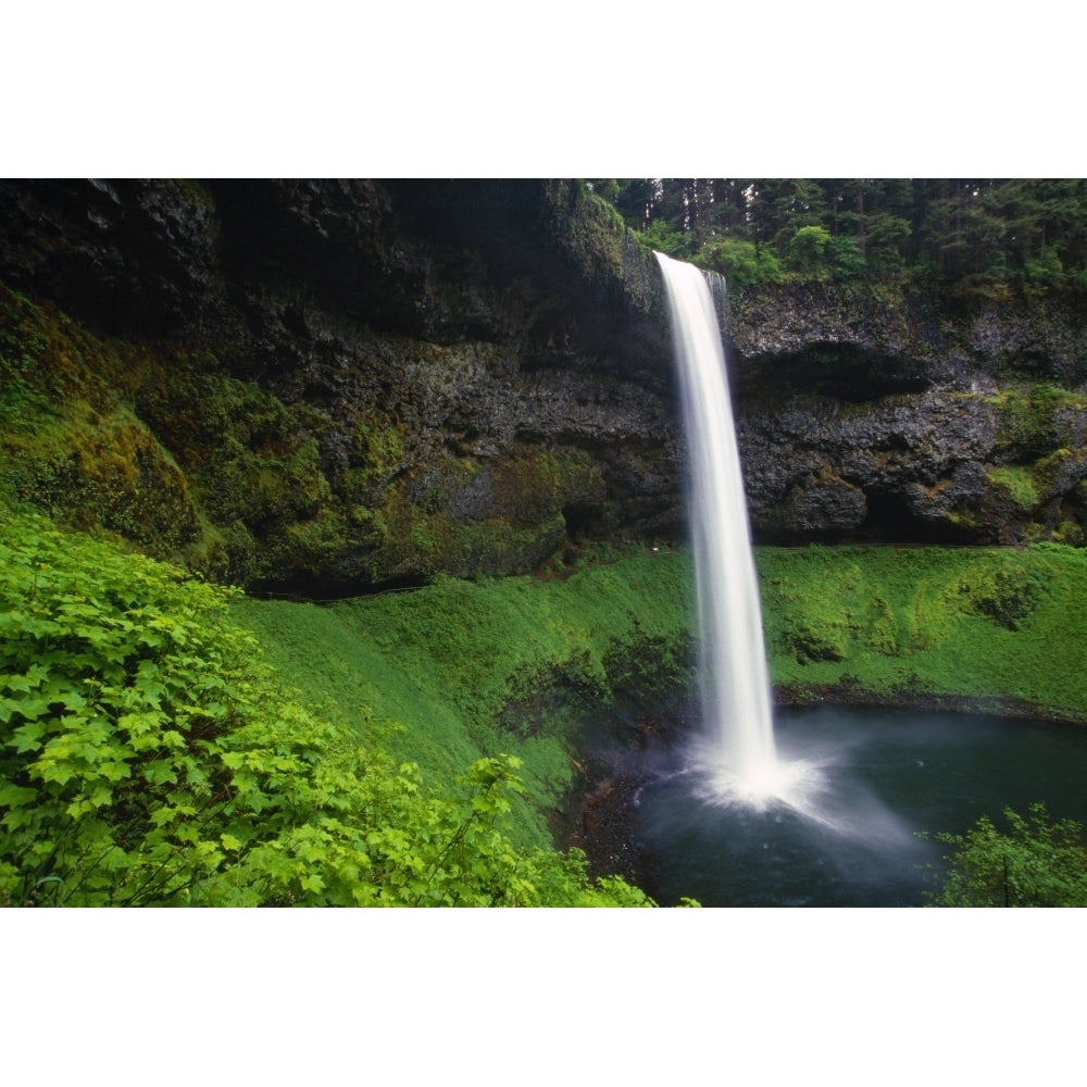 Silver Falls State Park Oregon Usa Poster Print Image 1