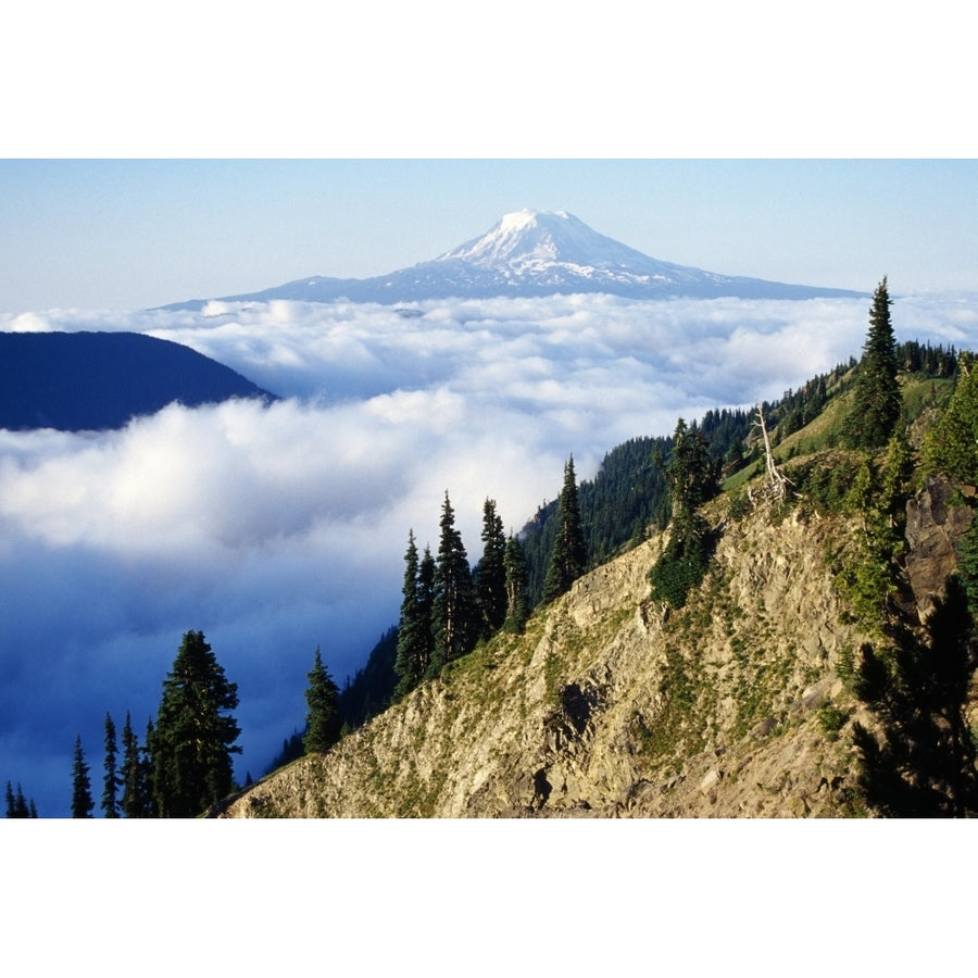 Mount Adams Above Cloud-Filled Valley Washington United States Of America Poster Print Image 1