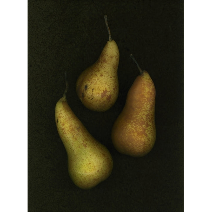 Three Golden Pears Poster Print Image 1