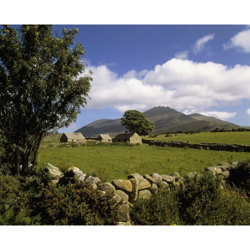 Cottages On A Farm Near The Mourne Mountains County Down Ireland Poster Print Image 1