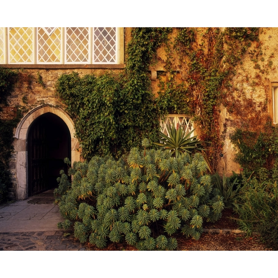 Malahide Castle Talbot Botanic Garden Malahide Co Fingal Ireland by The Irish Image Collection / Design Pics Image 1