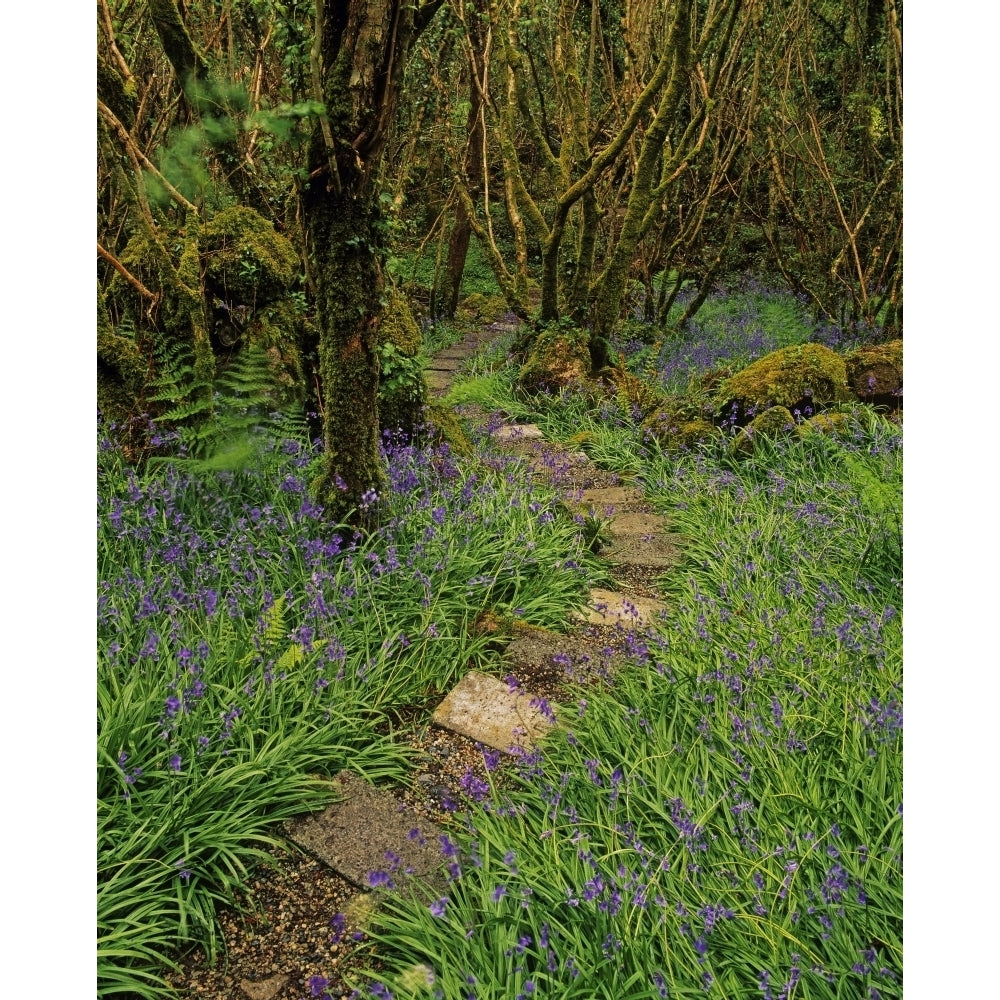 High Angle View Of Staircase In A Garden Ardcarrig County Galway Republic Of Ireland Poster Print Image 1