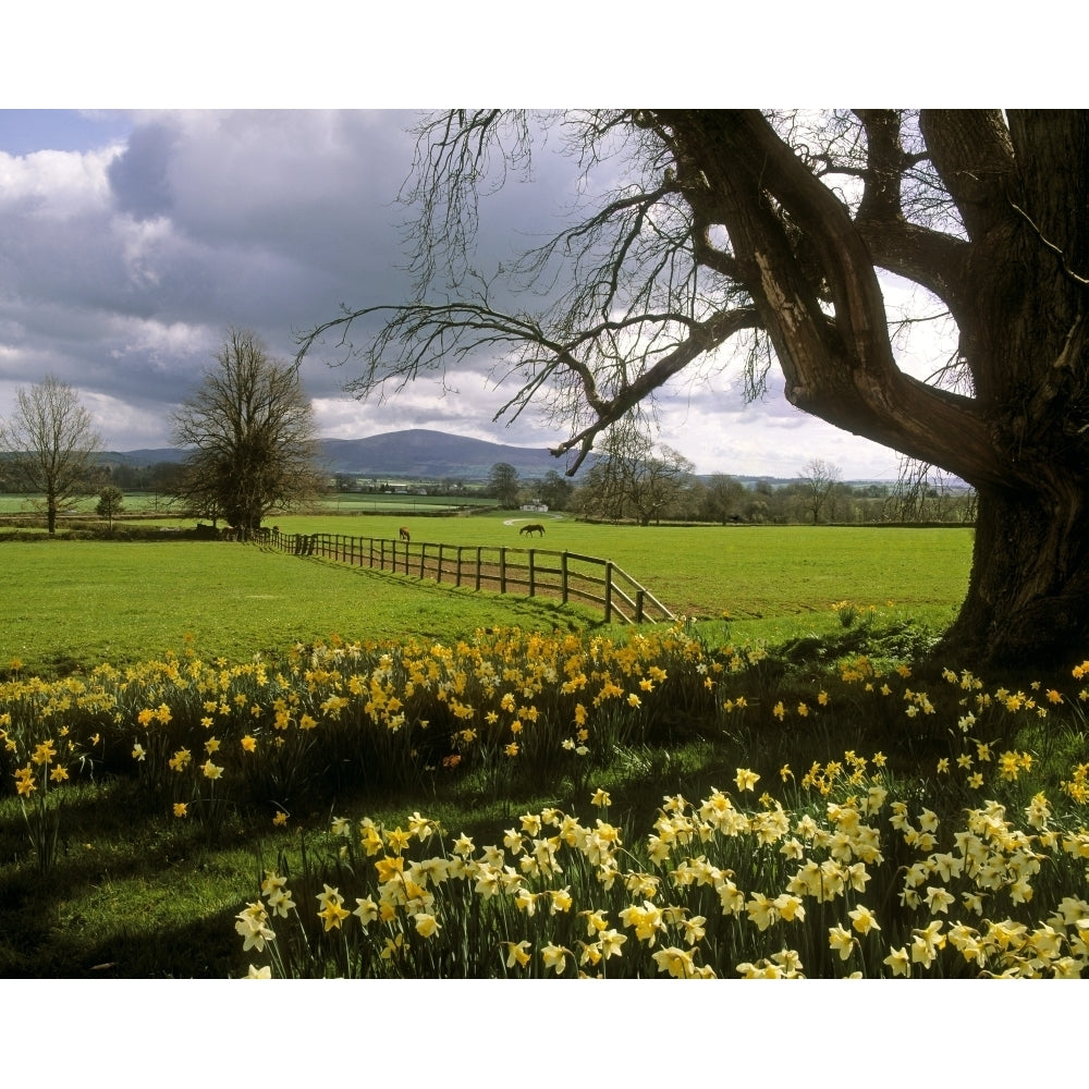 Slievenamon Ardsallagh Co Tipperary Ireland Poster Print Image 1