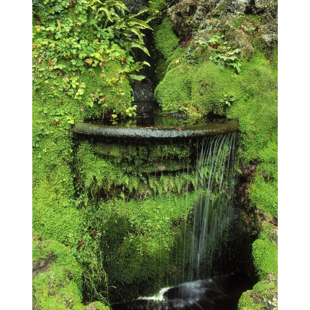 Japanese Garden Powerscourt Gardens Co Wicklow Ireland; Fern And Moss Around A Fountain Poster Print Image 2