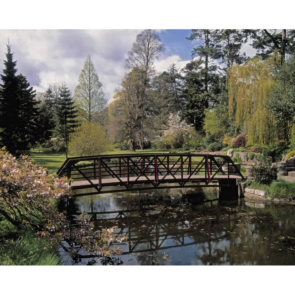 Irish National Botanic Gardens Dublin Co Dublin Ireland; Bridge Over Lily Lake Poster Print Image 2