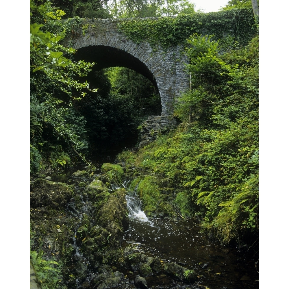 Low Angle View Of Cromwells Bridge Cabra County Down Northern Ireland by The Irish Image Collection / Design Pics Image 1