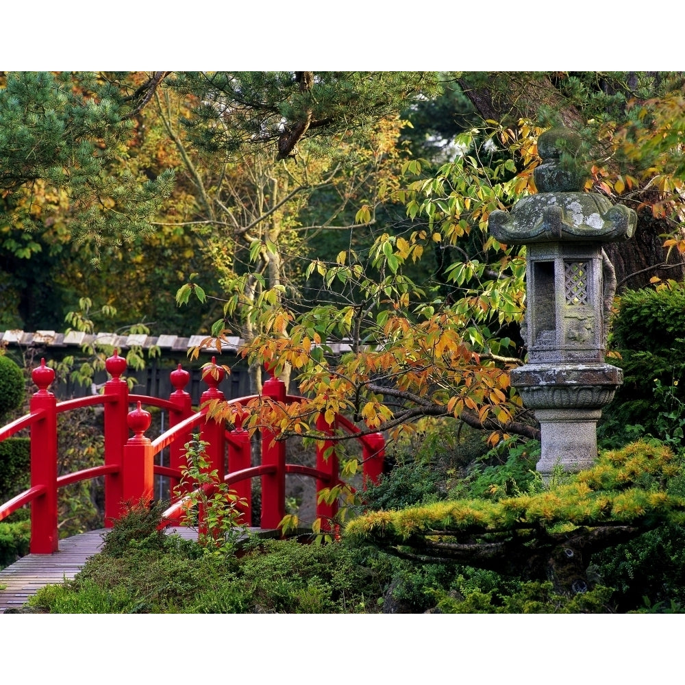 Red Bridge and Japanese Lantern Autumn Japanese Gardens Co Kildare Ireland Poster Print Image 2