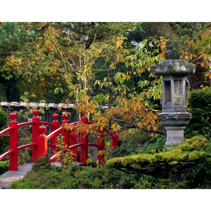 Red Bridge and Japanese Lantern Autumn Japanese Gardens Co Kildare Ireland Poster Print Image 1