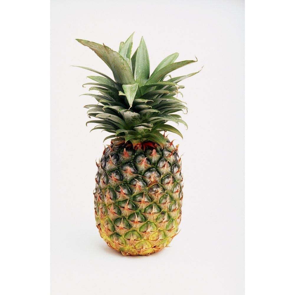 Pineapple Poster Print Image 2