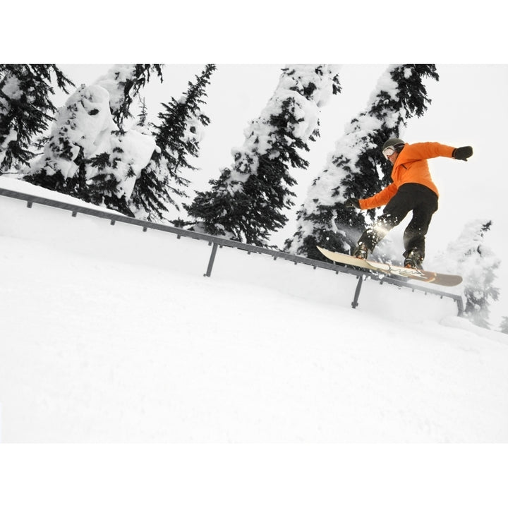 Person Snowboarding On A Railing Poster Print Image 2