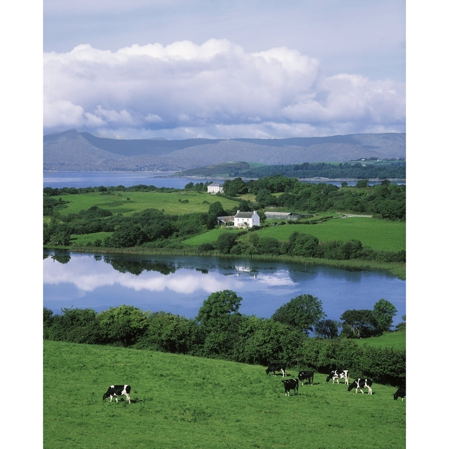 Bantry Bay  Co Cork  Ireland Poster Print Image 1