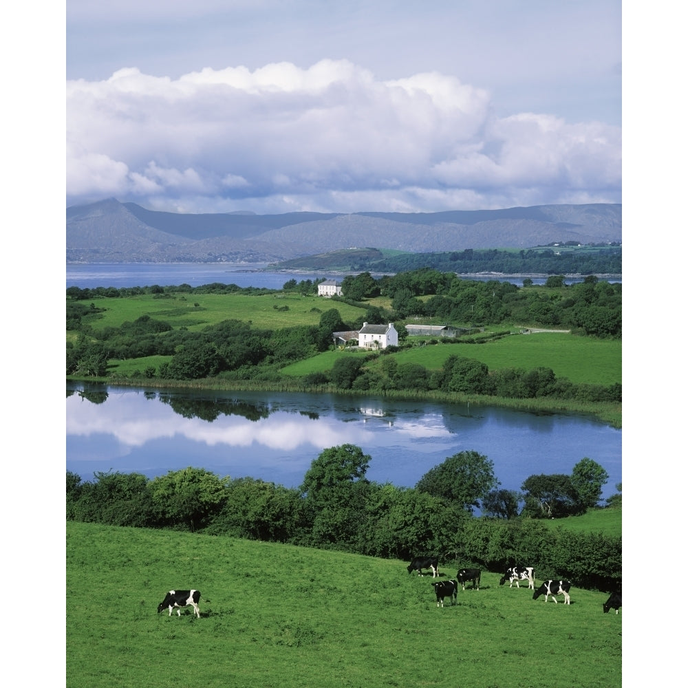 Bantry Bay  Co Cork  Ireland Poster Print Image 2
