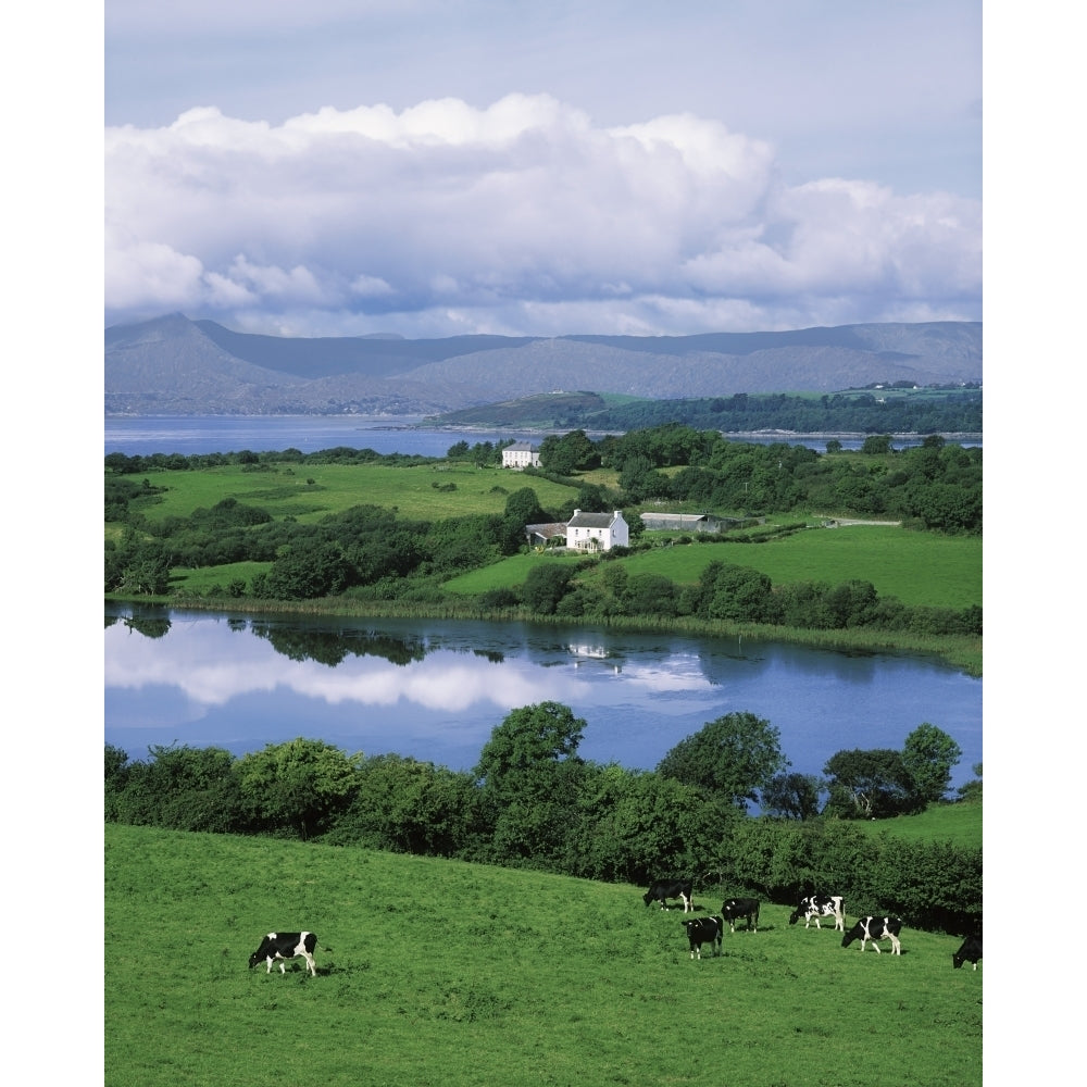 Bantry Bay Co Cork Ireland Poster Print Image 1