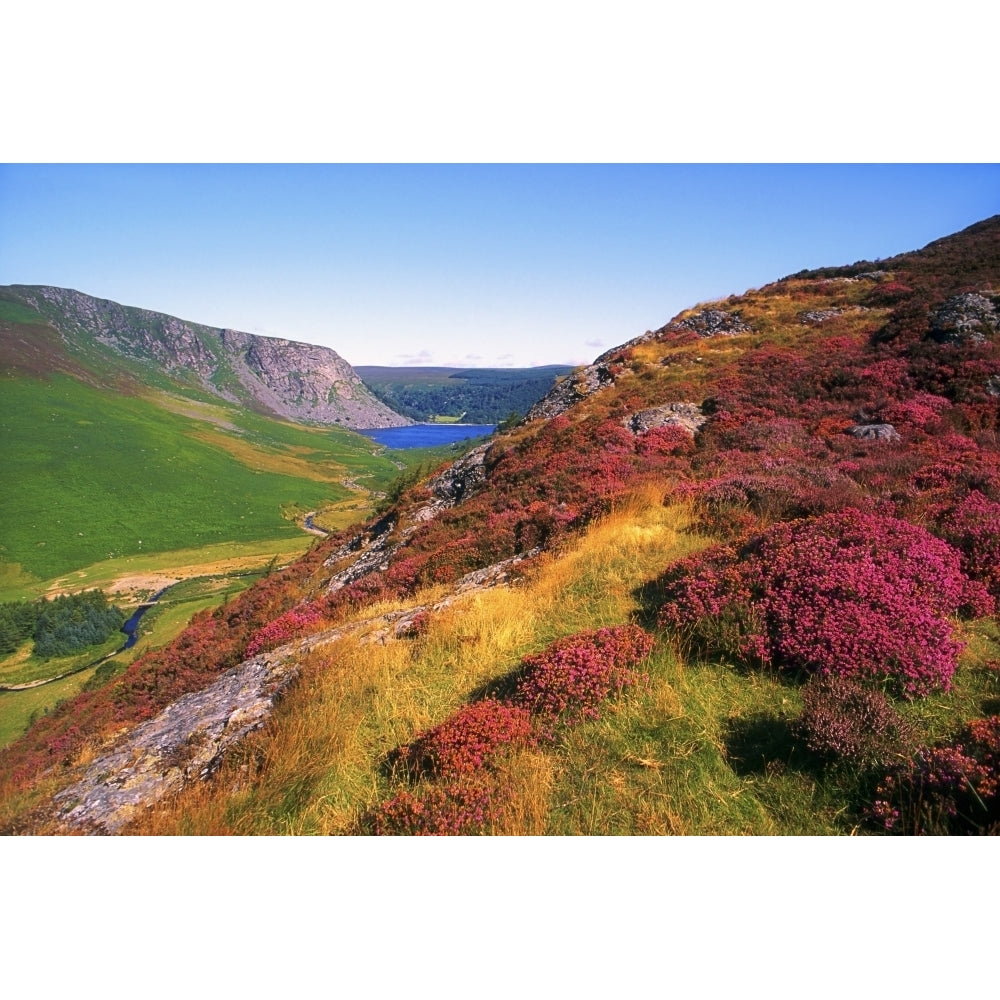 Wicklow Way Co Wicklow Ireland; Long Distance Walking Trail Near Luggala Poster Print Image 2