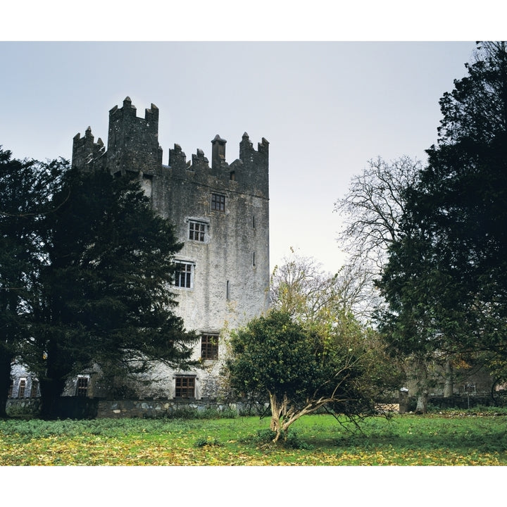 Castle Matrix Co Limerick Ireland Poster Print Image 1