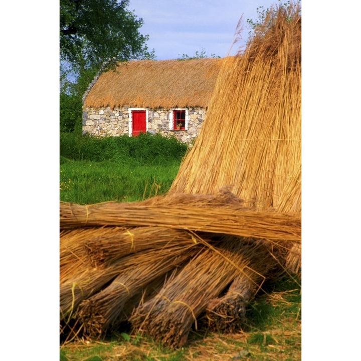 Traditional Thatching Ireland Poster Print Image 2