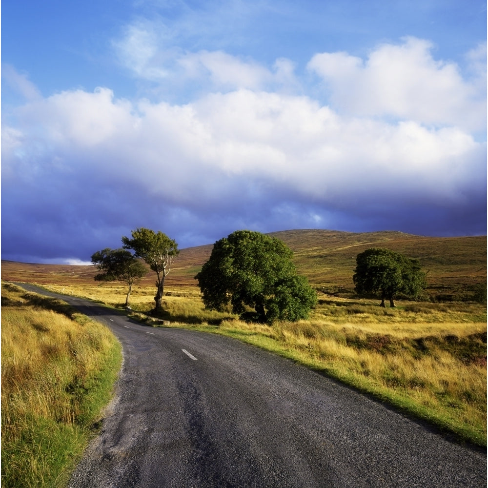 Wicklow Mountains County Wicklow Ireland Near Sallygap by The Irish Image Collection / Design Pics Image 1