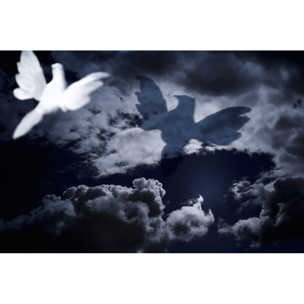 White Dove Flying Into Cloudy Skies Poster Print by Darren Greenwood / Design Pics Image 1