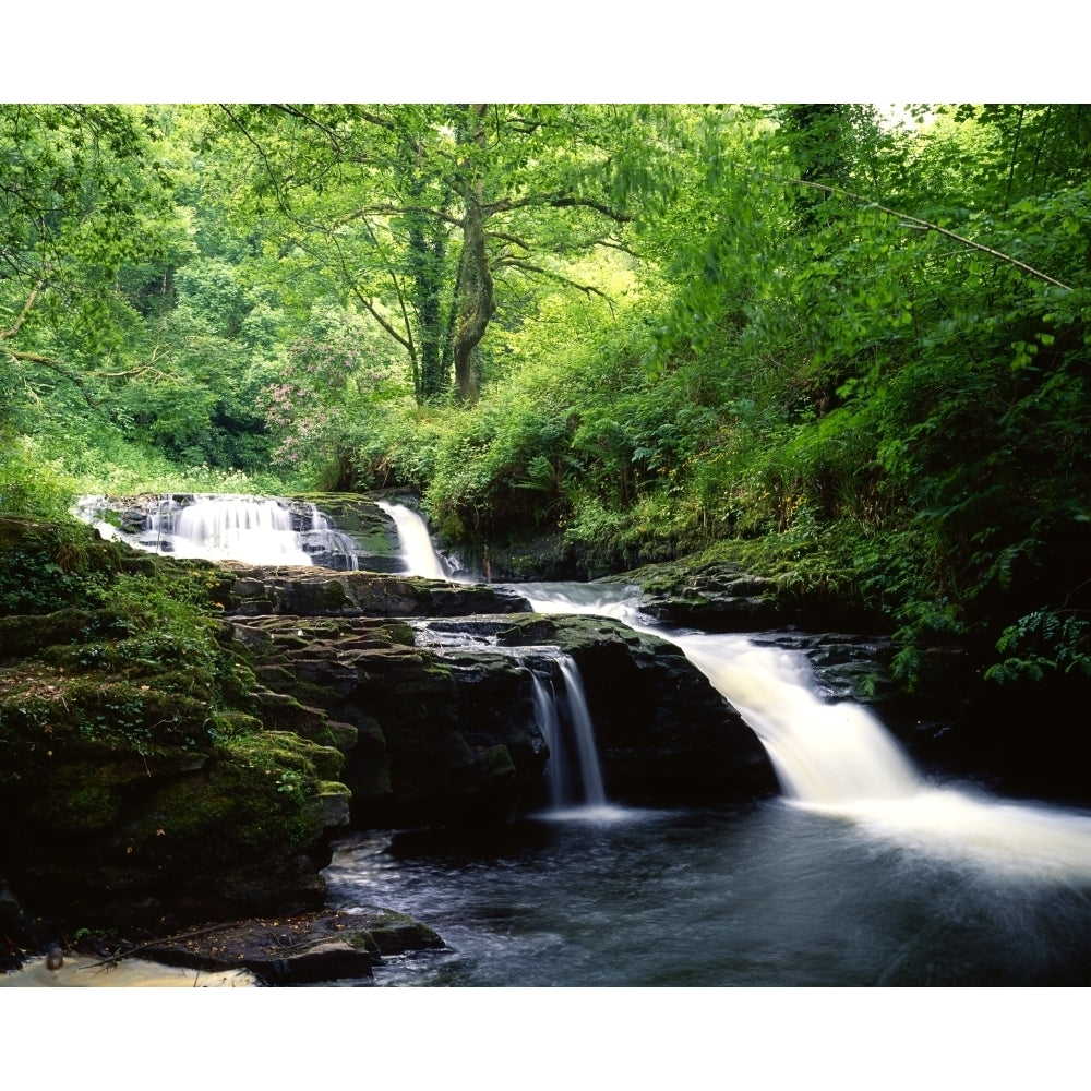 Clare Glens Co Limerick Ireland; Irish Landscape Poster Print Image 2