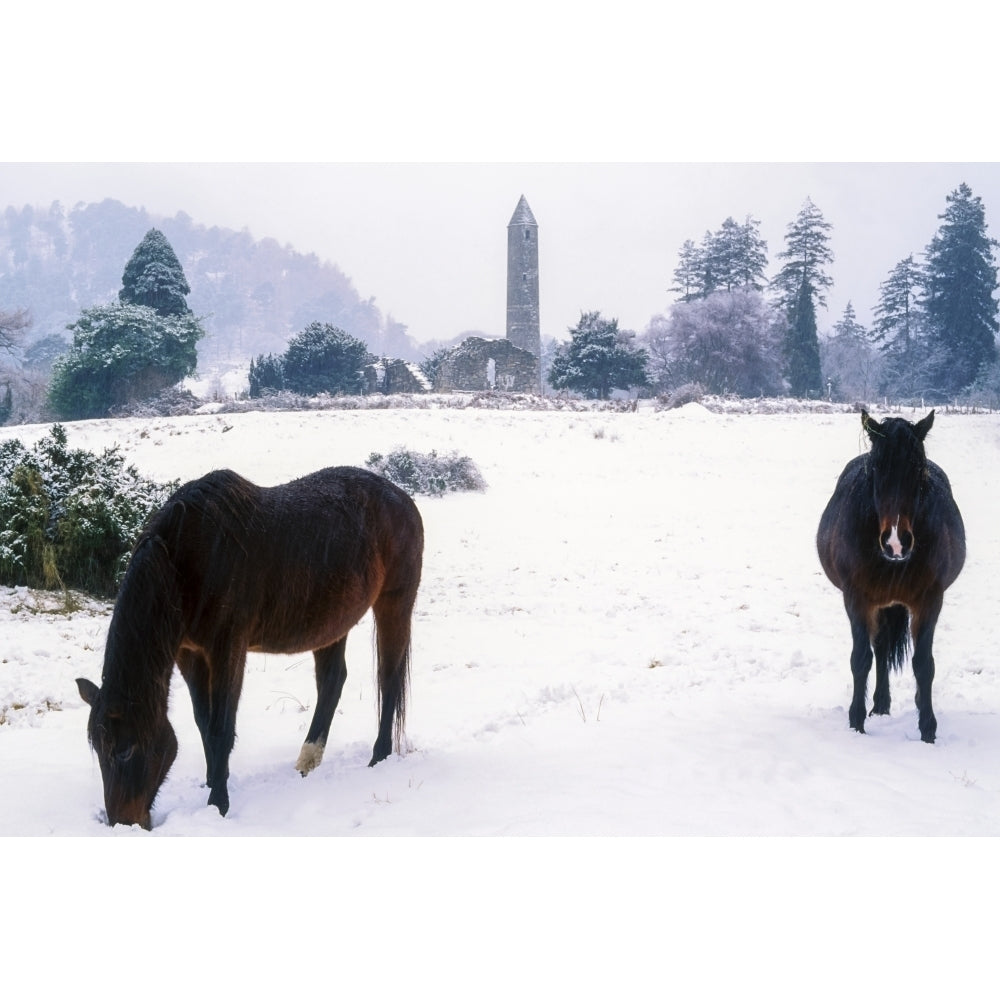 Glendalough Co Wicklow Ireland; Horses With Saint Kevins Monastic Site In The Distance by The Irish Image Collection / Image 1