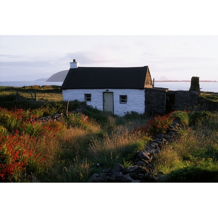 Cottage Near Dunquin Dingle Peninsula Co Kerry Ireland Poster Print Image 1