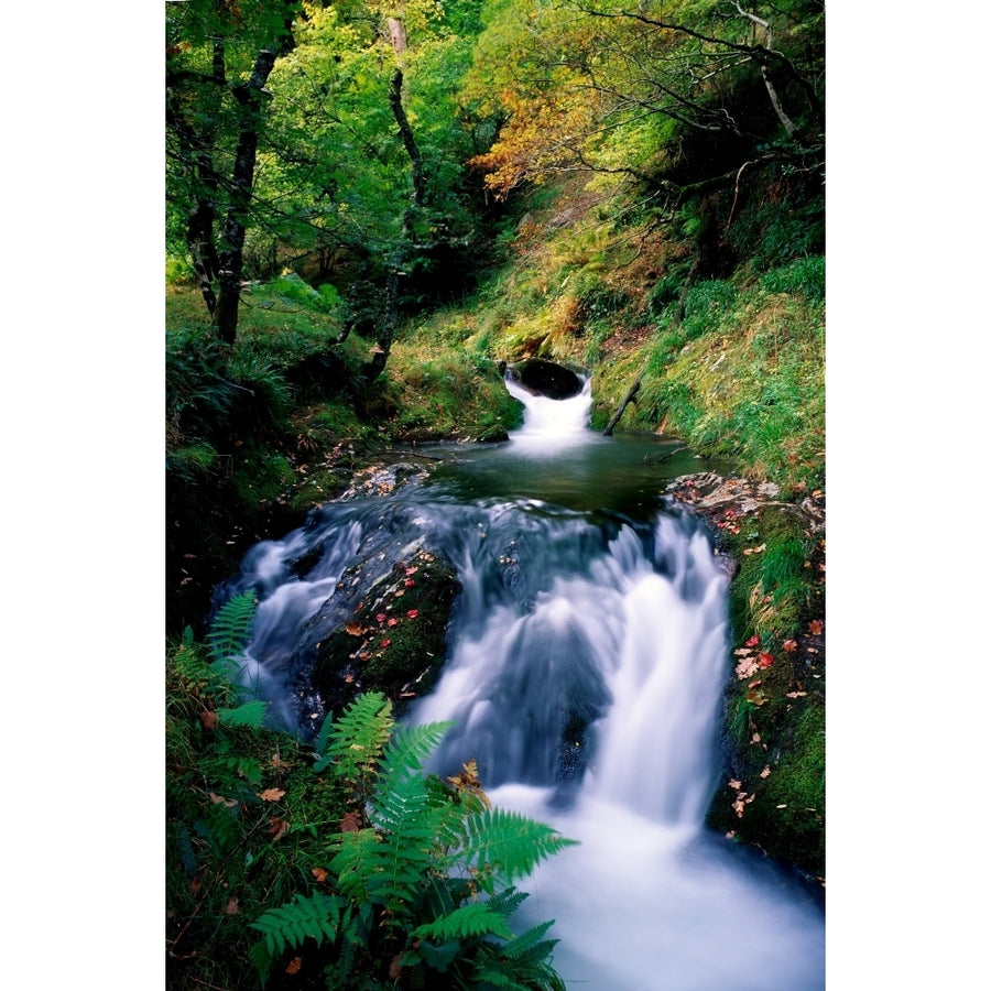 Waterfall In The Woods Ireland Poster Print Image 1